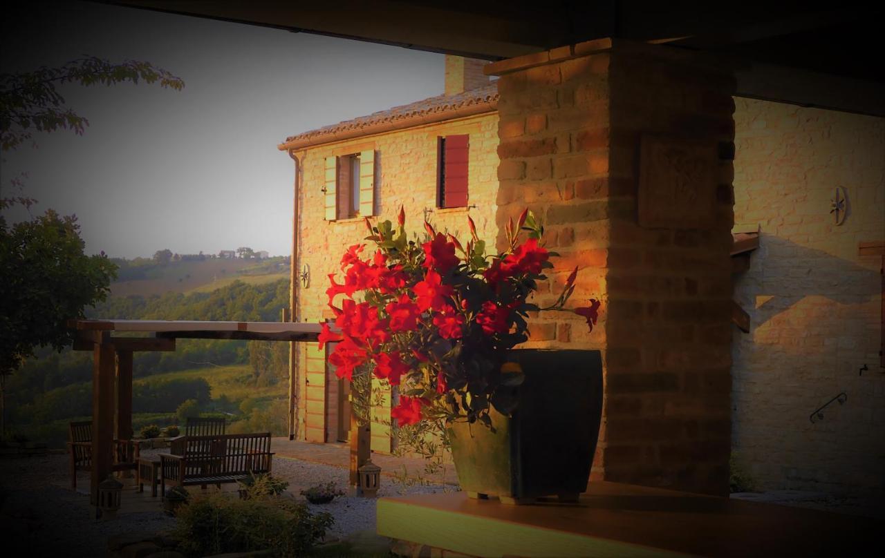 Quelli Del Picchio Bed & Breakfast Cupramontana Exterior photo